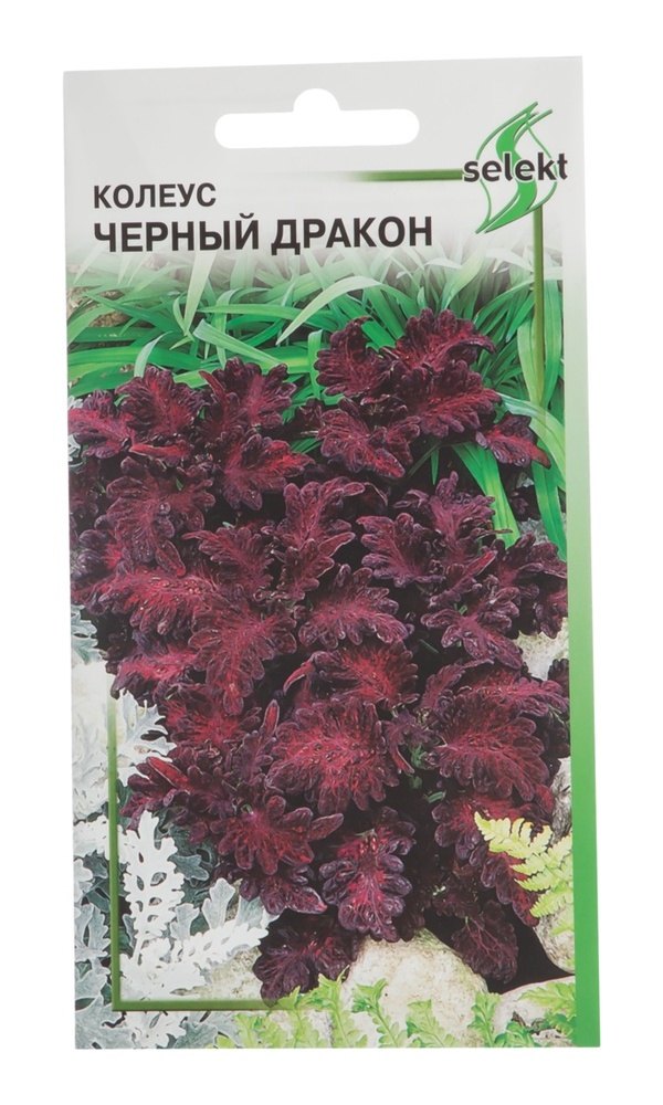

Семена колеус Selekt Черный дракон 1 уп.