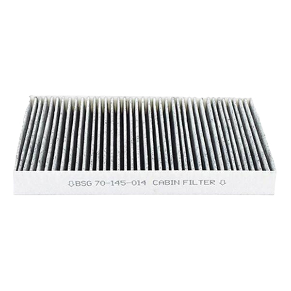

Basbug Bsg70-145-014 Фильтр Вентиляции Салона-Угольный