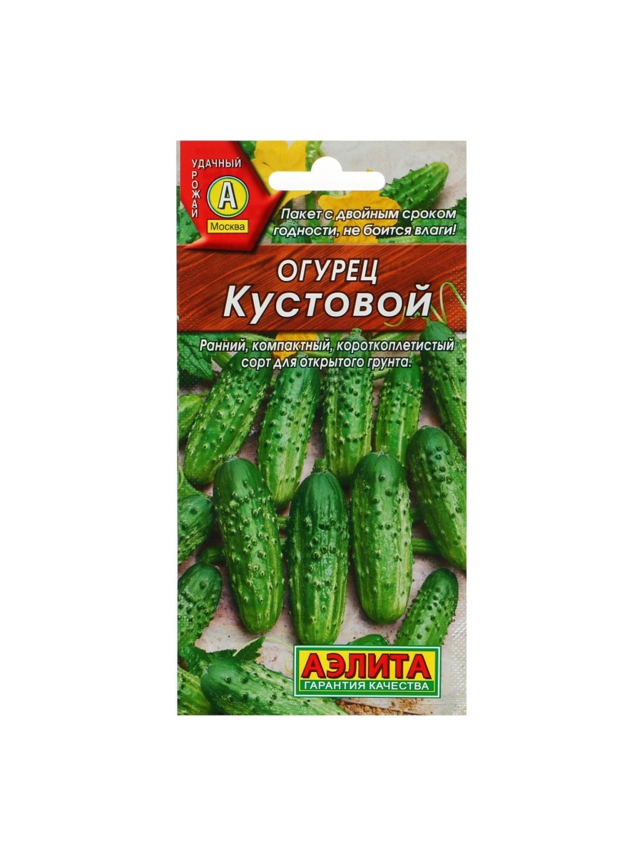 

Семена огурец Кустовой Аэлита