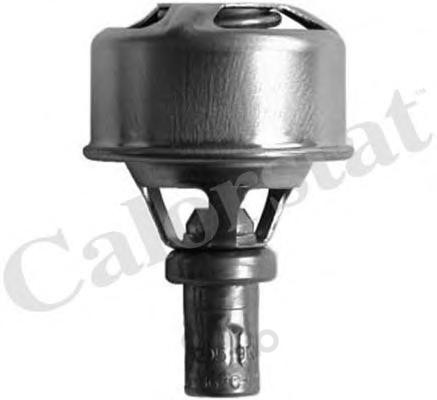 

V4495.89_термостат! Renault R5/R12 1.1-1.6 <85