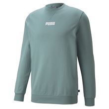 

Свитшот мужской PUMA 84740950 зеленый S, 84740950