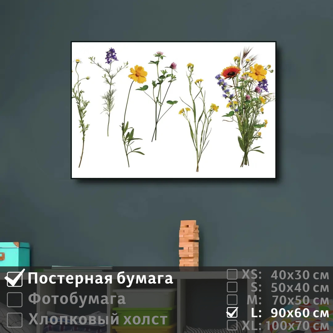 

Постер на стену ПолиЦентр Коллаж из полевых цветов 90х60 см, КоллажИзПолевыхЦветов