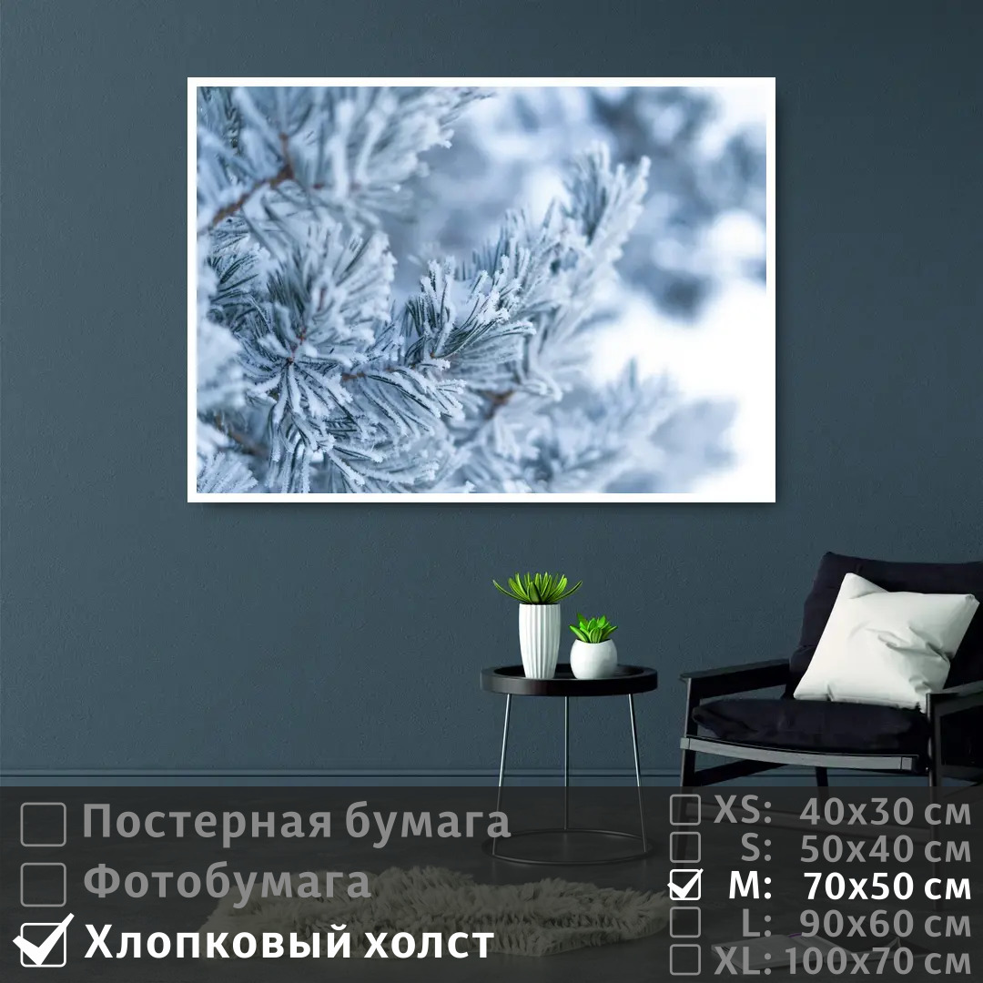 

Постер на холсте ПолиЦентр Ветка сосны в зимнем лесу 70х50 см, ВеткаСосныВЗимнемЛесу