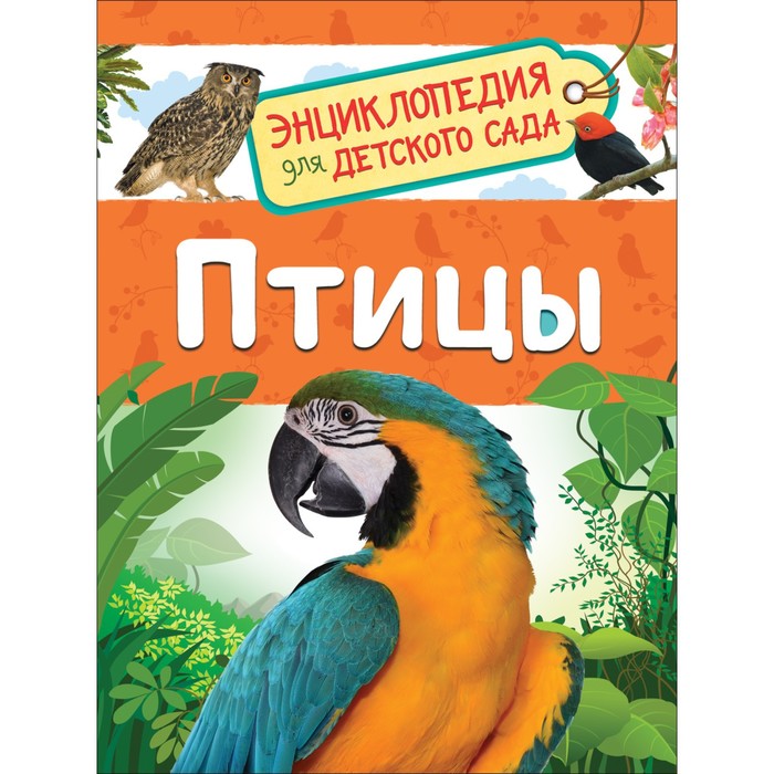 

Энциклопедия для детского сада Птицы, Гальцева С. Н.