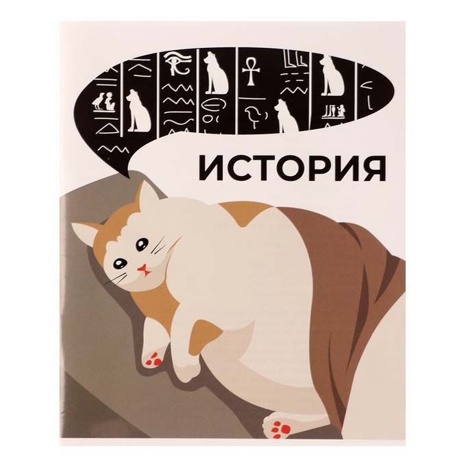

Тетрадь Calligrata Животные мемы 36 листов История А5 на скрепке в клетку