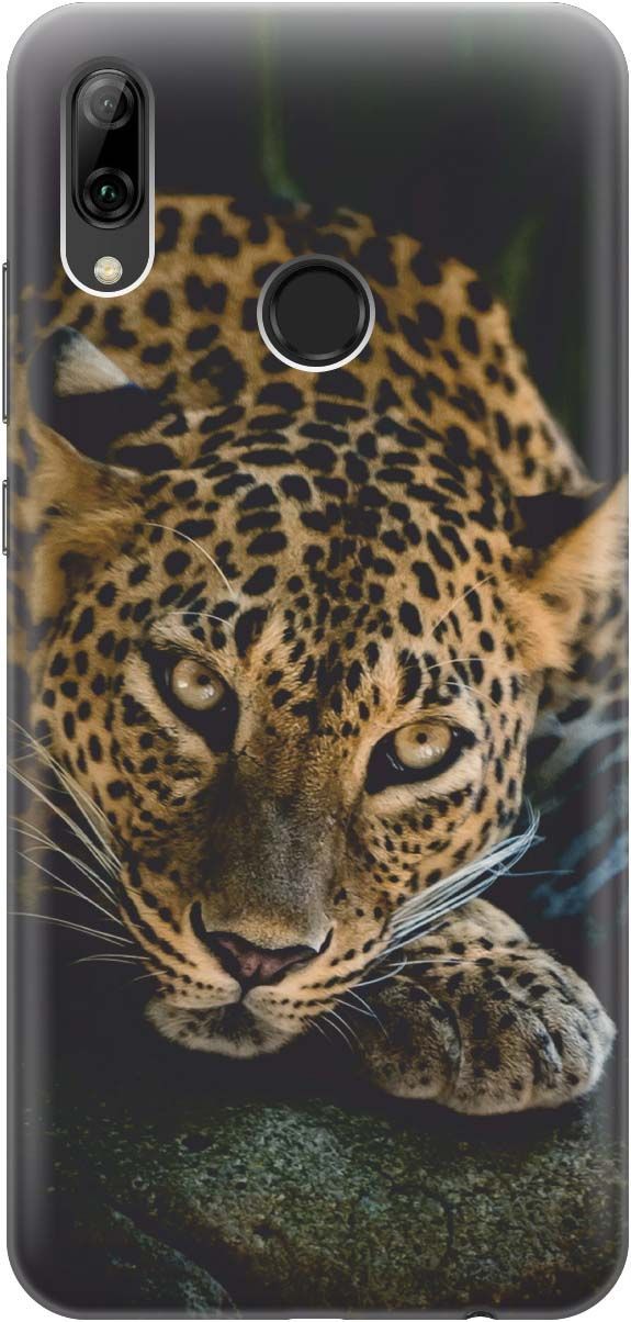 

Чехол на Honor 10 Lite/Huawei P Smart (2019) "Загадочный леопард", Коричневый;оранжевый, 344