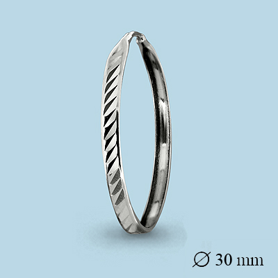 

Серьги из серебра Aquamarine Aquamarine 32083_925_р, 32083_925_р