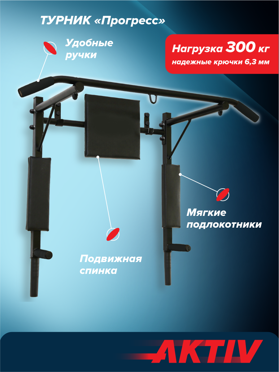 Турник-Брусья 3в1 Absolute Champion Прогресс черный разборный Aktiv АЧ 9967