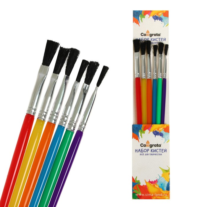 Кисть Calligrata нейлон 6 штук, плоские, с пластиковыми цветными ручками, 2шт.