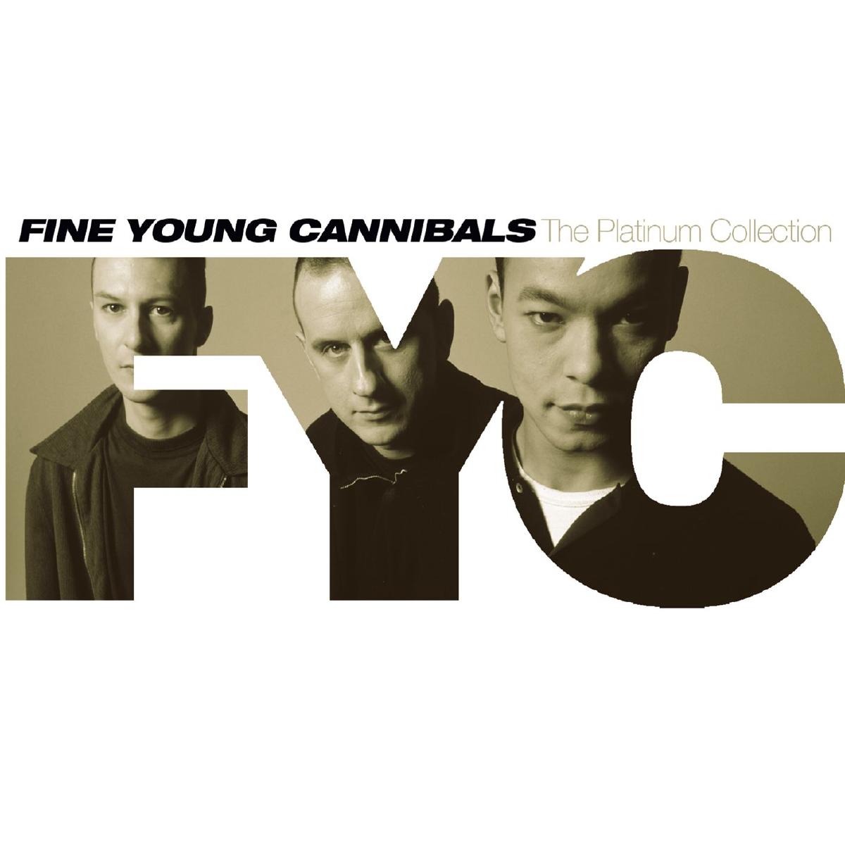 

Fine Young Cannibals - The Platinum Collection (1 CD)