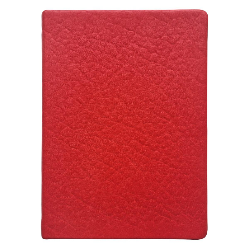 

Ежедневник датированный 2023, 140х200 мм, 352 с. Turtle I1159/red