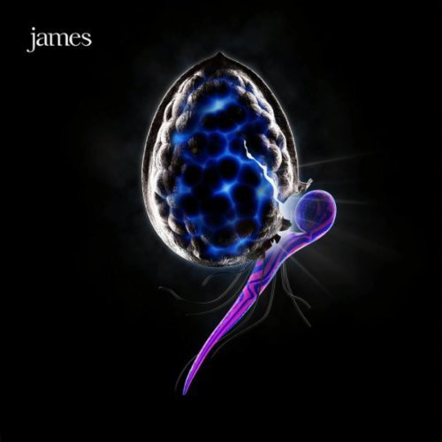 James - The Night Before (1 CD)