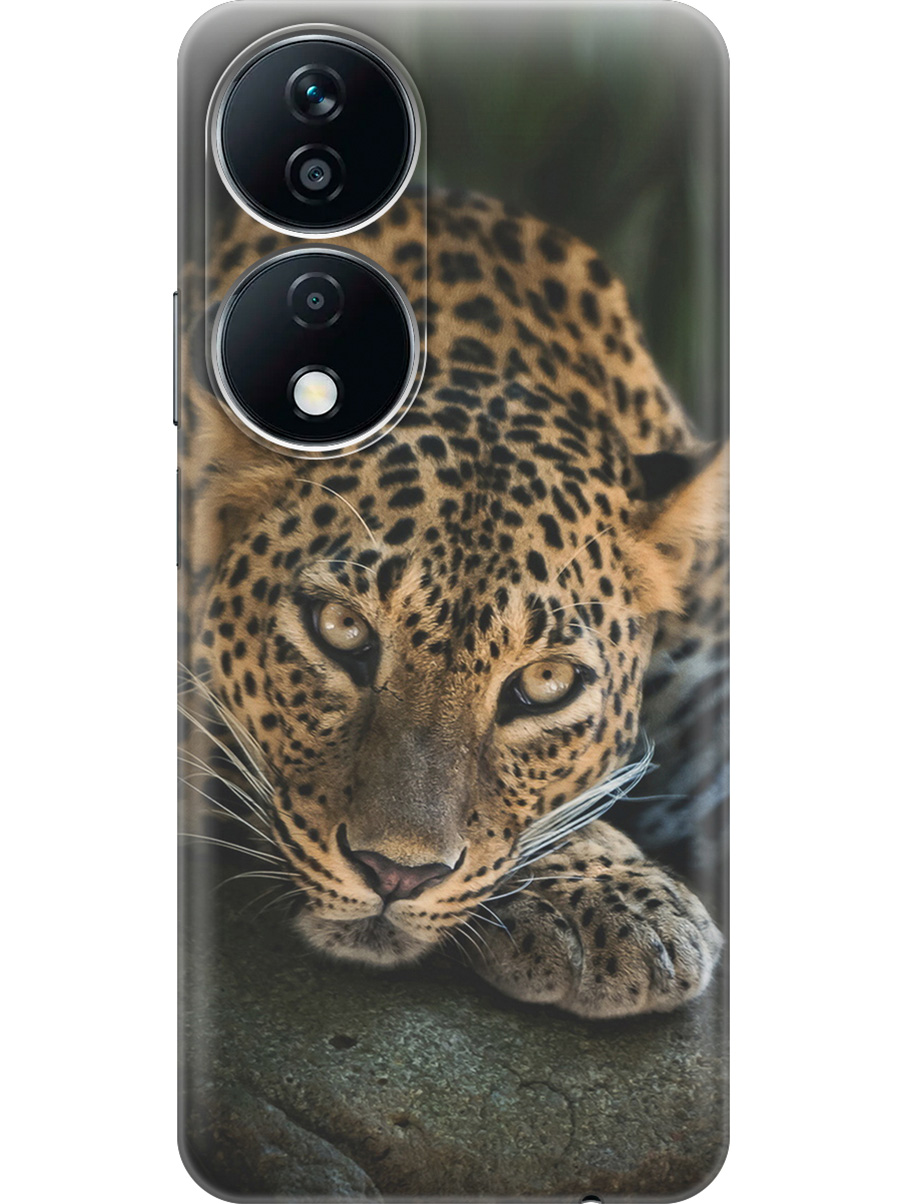 

Силиконовый чехол на Honor X7b с принтом "Загадочный леопард", Прозрачный;черный;коричневый;оранжевый, 781972113