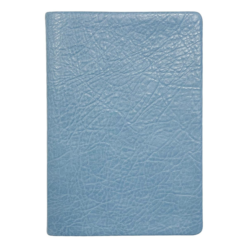 

Ежедневник недатированный 140х200 мм, 192 с. Turtle I1202/light-blue