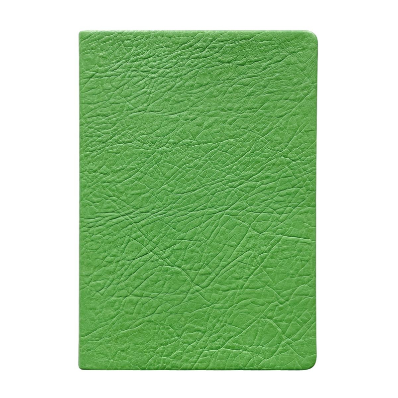 

Ежедневник недатированный 140х200 мм, 192 с. Turtle I1202/green