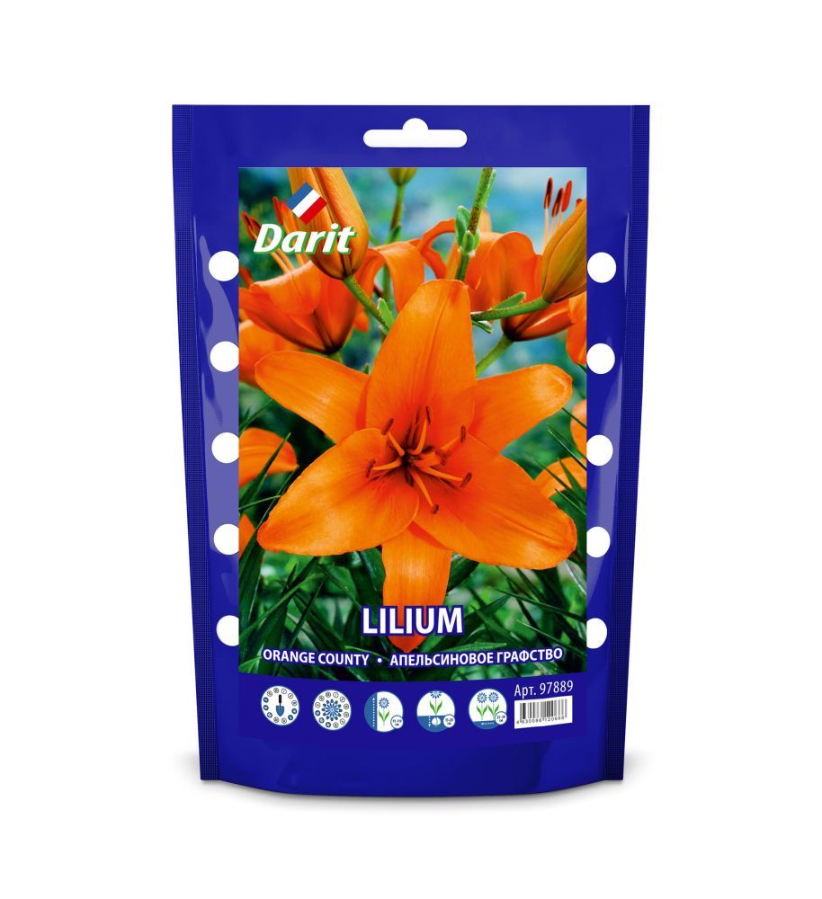 

Лилия Оранж Каунти Lilium Orange County 14/+, Darit Дой-пак 2шт