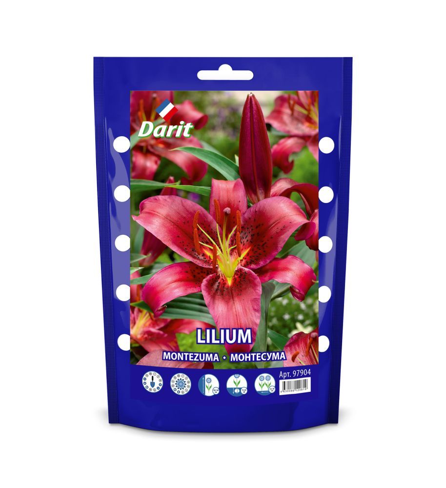 

Лилия Монтезума Lilium Montezuma 16/18, Darit Дой-пак 2шт