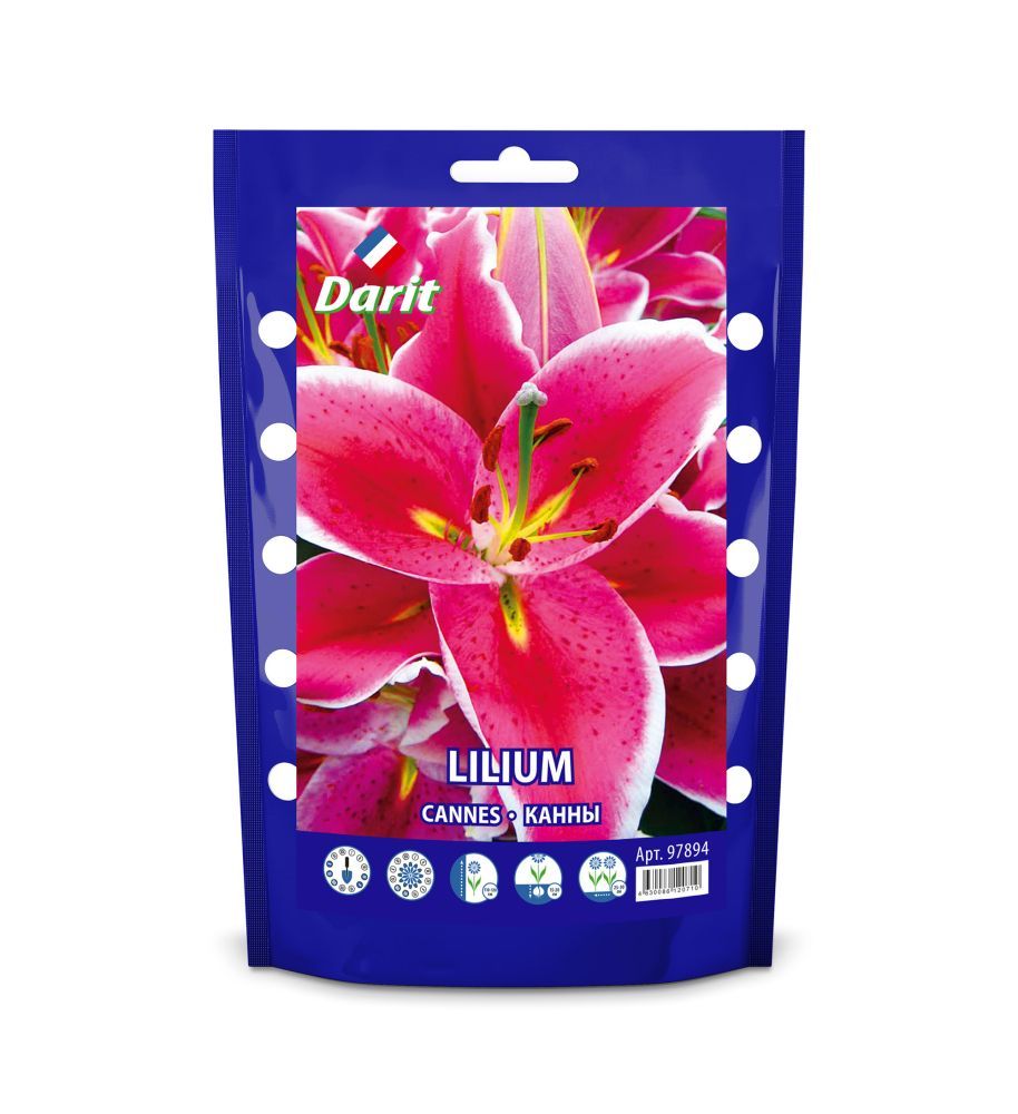 

Лилия Каннес Lilium Cannes 14/+, Darit Дой-пак, 2шт