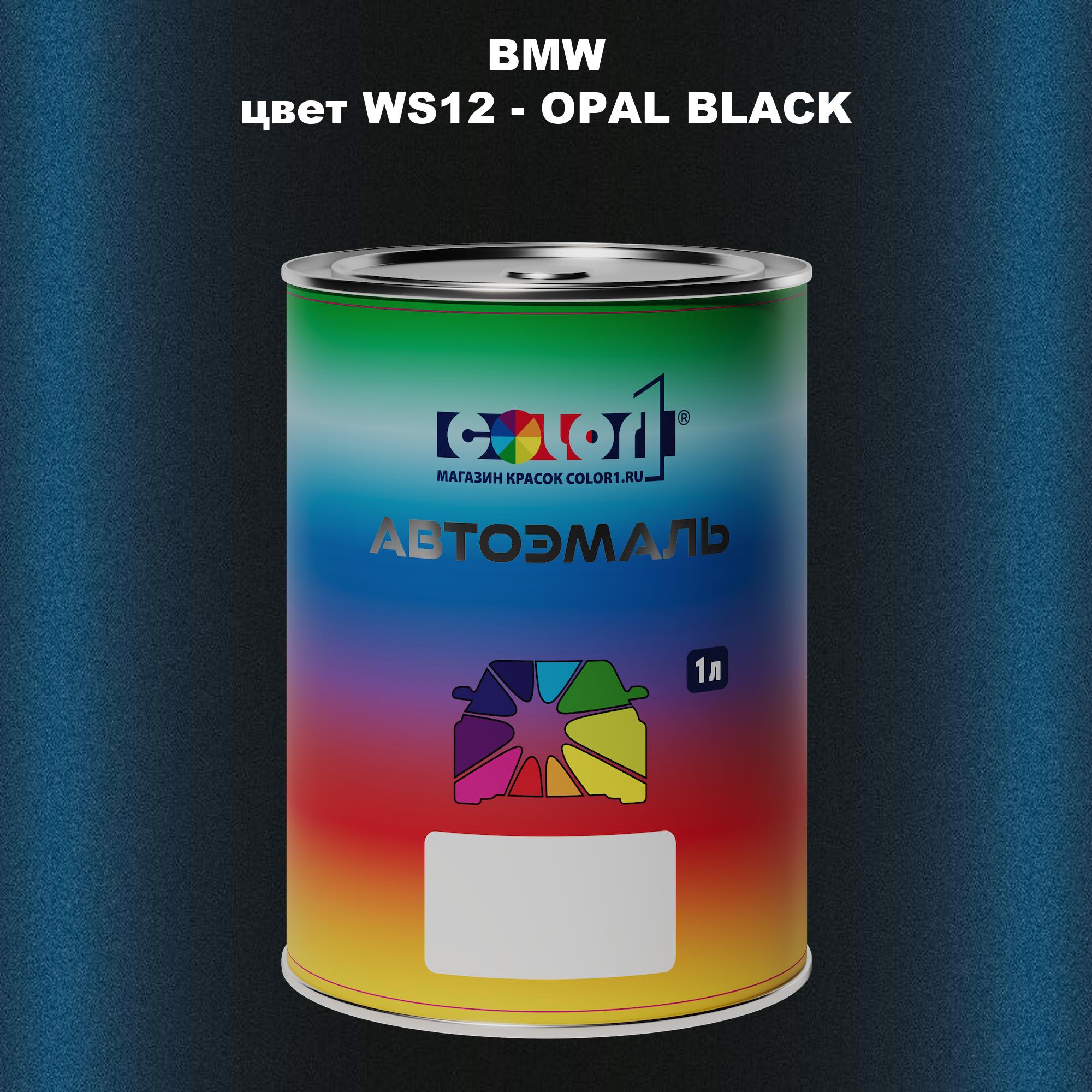 

Автомобильная краска COLOR1 для BMW, цвет WS12 - OPAL BLACK, Черный