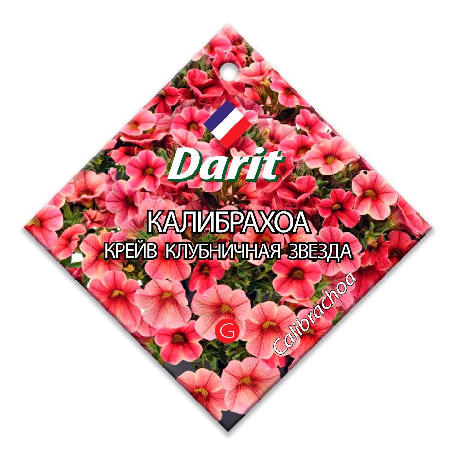 

Калибрахоа Крейв Клубничная звезда, семена Дарит 5шт