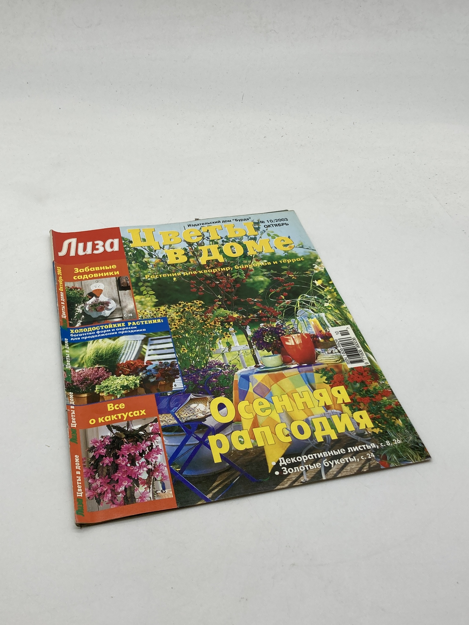 

Книга Лиза