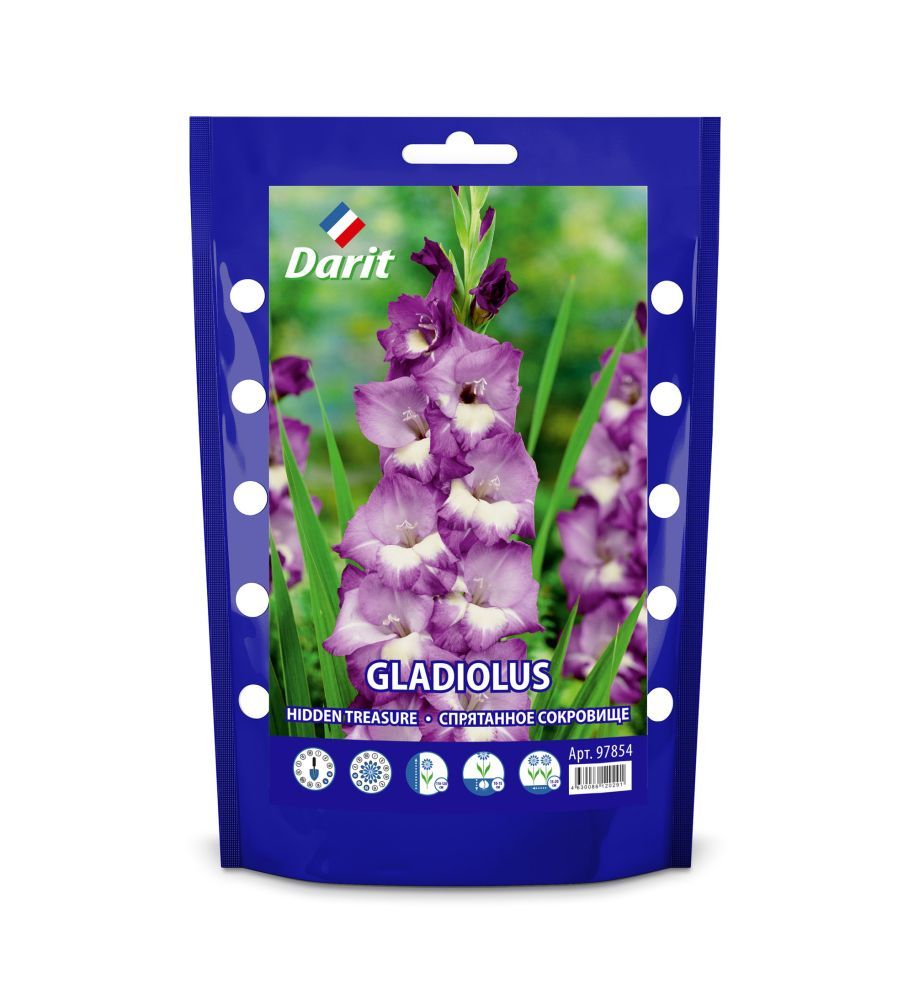 

Гладиолус Хидден Треже Gladiolus Hidden Treasure 14/16, Darit Дой-пак,5шт