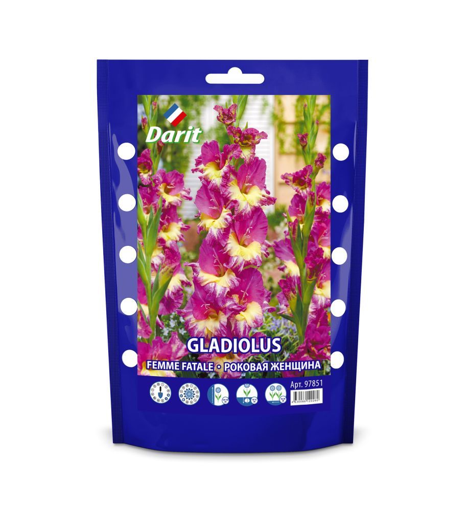 

Гладиолус Фем Фаталь Gladiolus Femme Fatale 14/+, Darit Дой-пак, 5шт