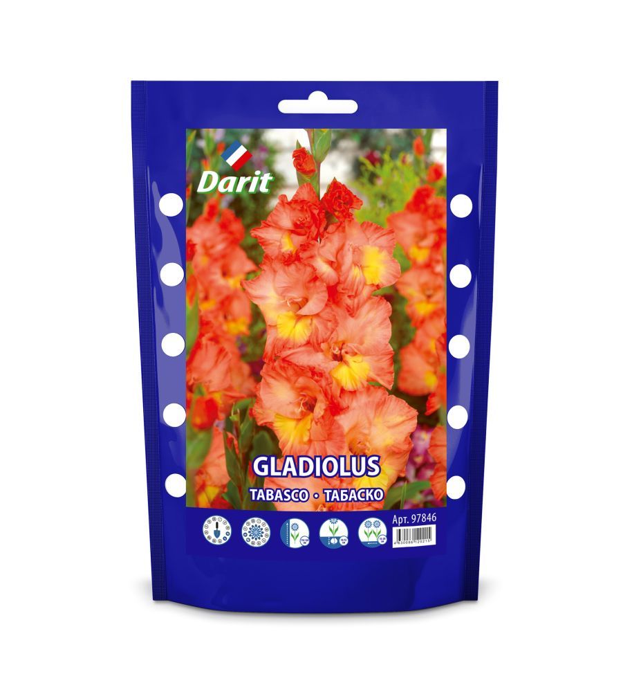 

Гладиолус Табаско Gladiolus Tabasco 14/16, Darit Дой-пак,5шт