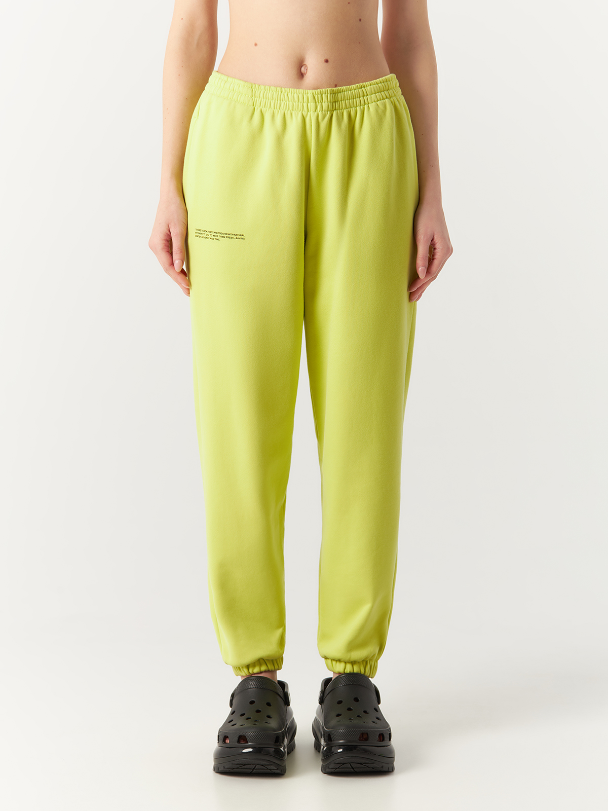 Брюки унисекс PANGAIA 365 Track Pants 10000295 зеленые L 5196₽