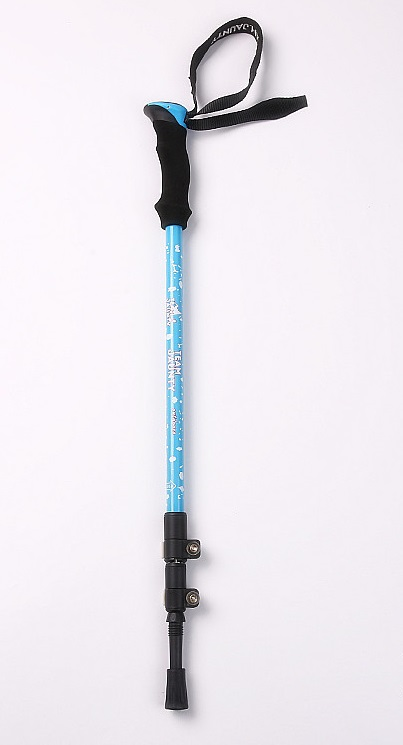 Палки туристические для ходьбы Team Jaunty 6-3JWS (Пара), цвет голубой