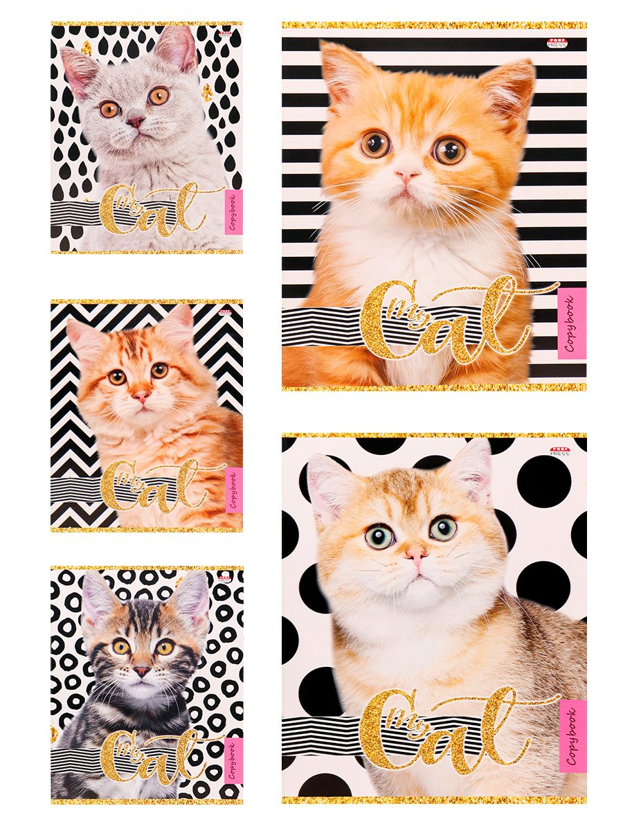 

Тетрадь Проф-Пресс клетка Кошачье удивлен 48л А5, 1696255