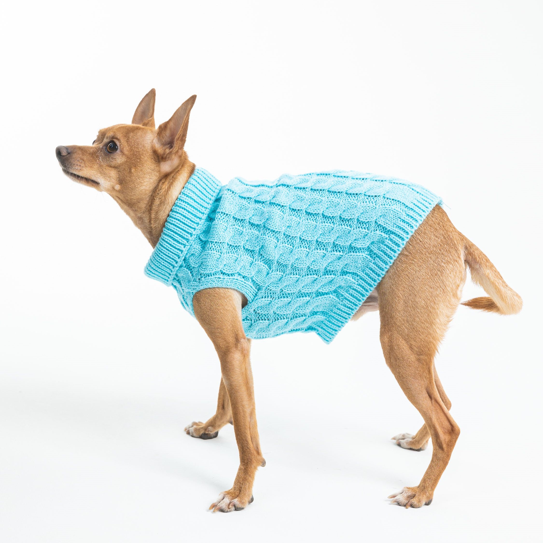 

Свитер для собак Family Pet средних пород, унисекс, голубой, акрил, M, длина спины 28 см