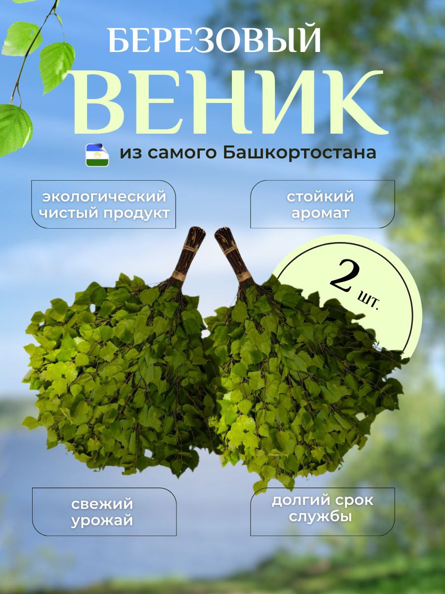 Веник для бани МУНСА ТАУ 2 БЕРЕЗА_2