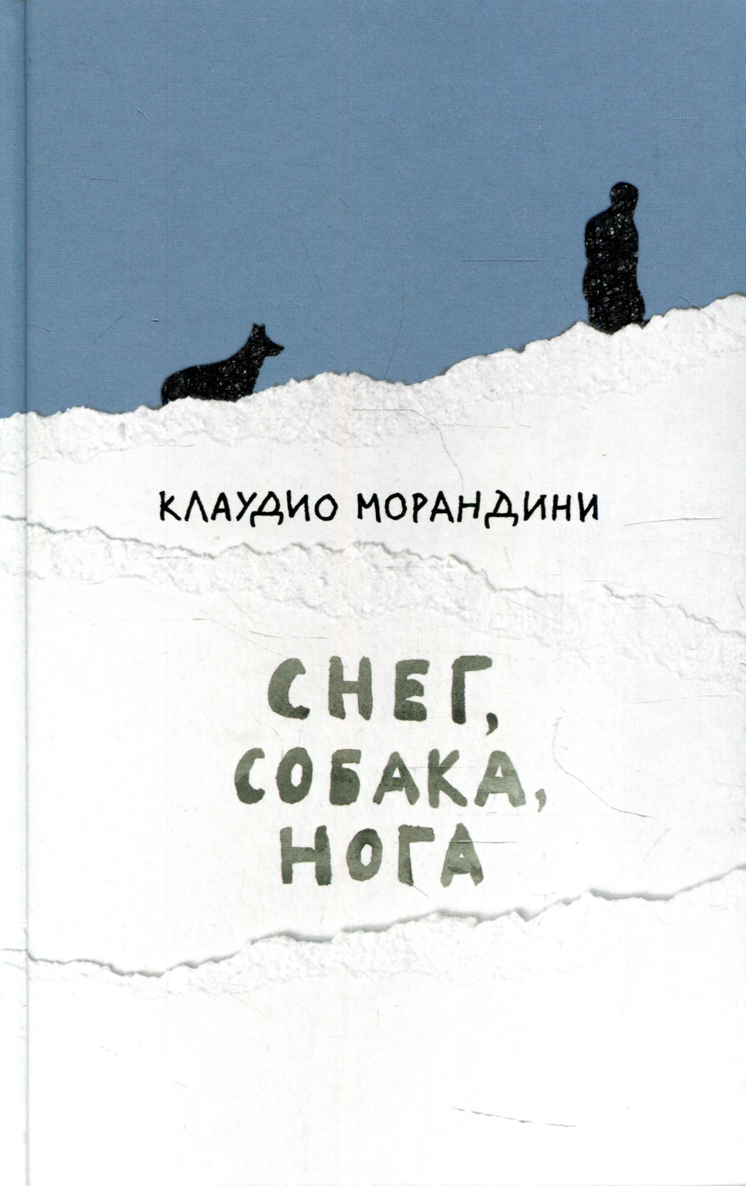 

Снег, собака, нога