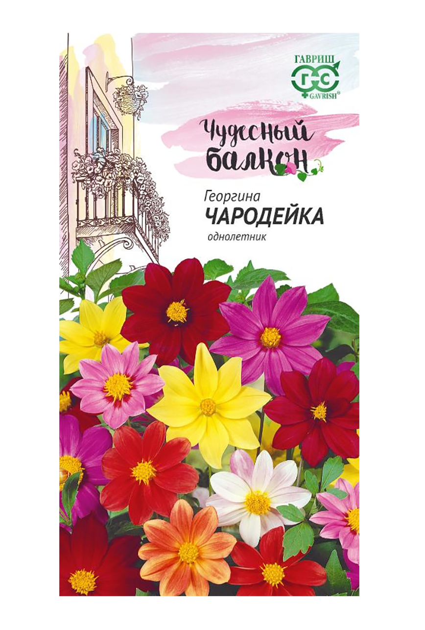 

Георгина Чародейка, смесь однол. (Гавриш)