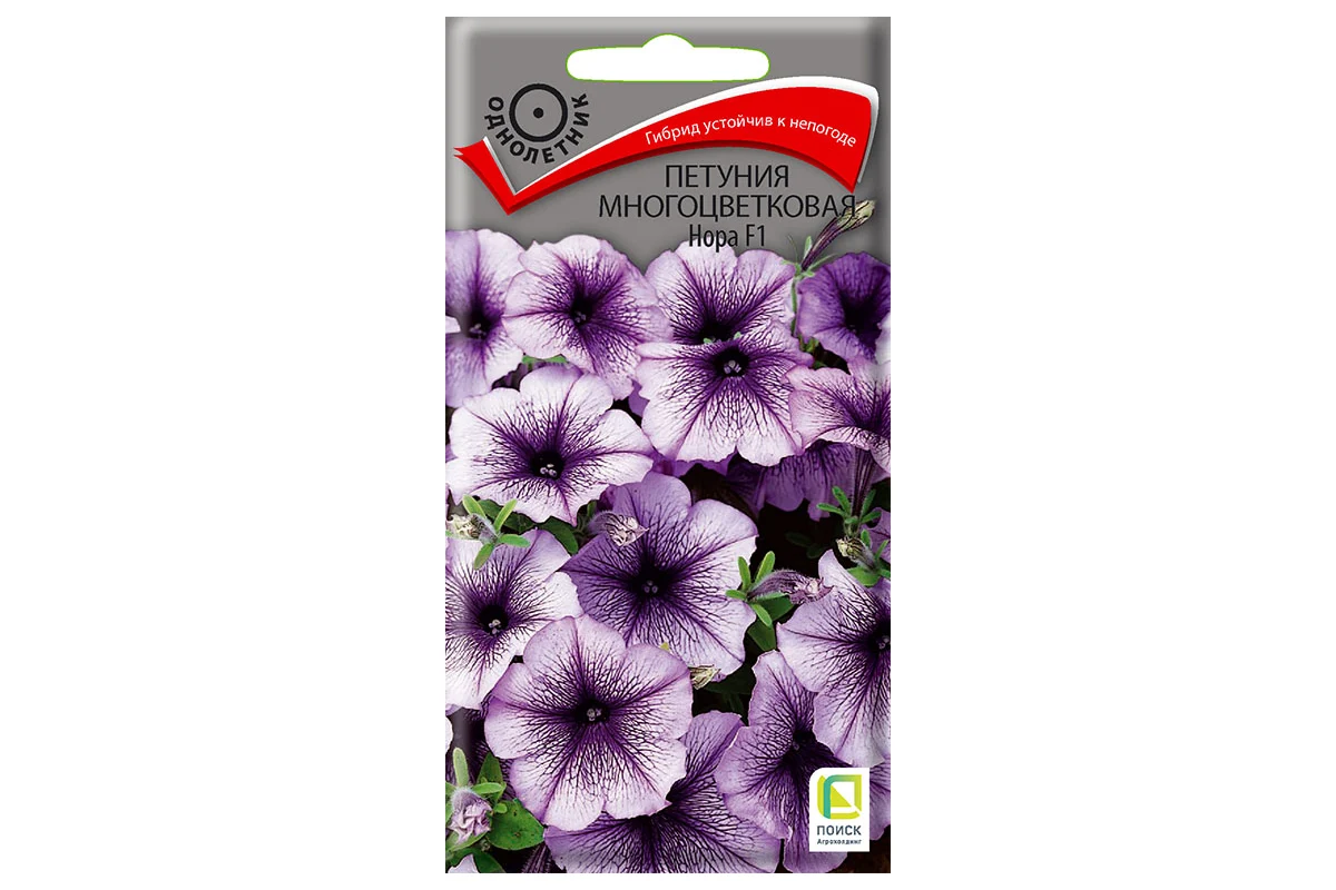 

Семена петуния Нора F1 Поиск 37840 1 уп.