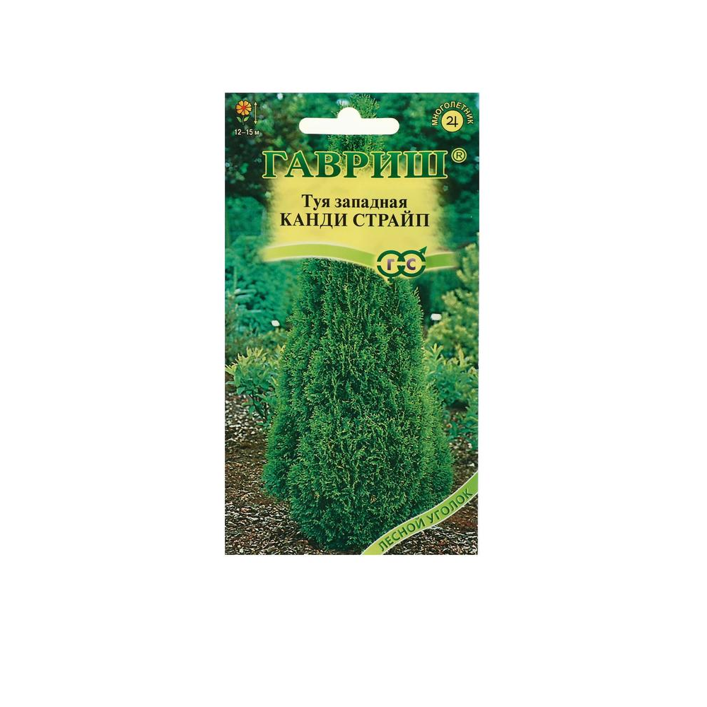 

Туя западная Канди Страйп 0,05гр. дек.р. (Гавриш)