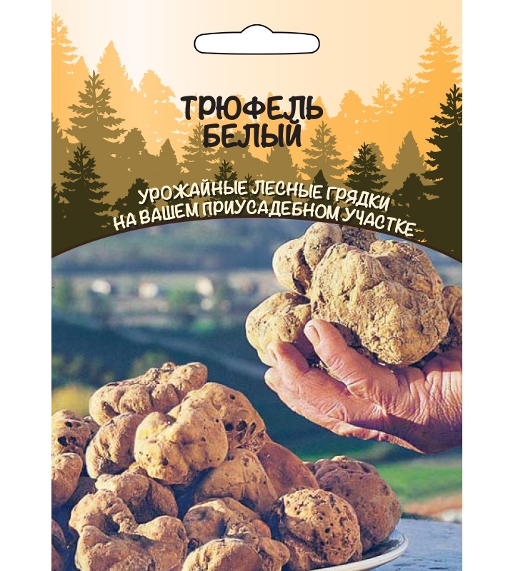

грибы Трюфель Белый (Урал. Дачник)