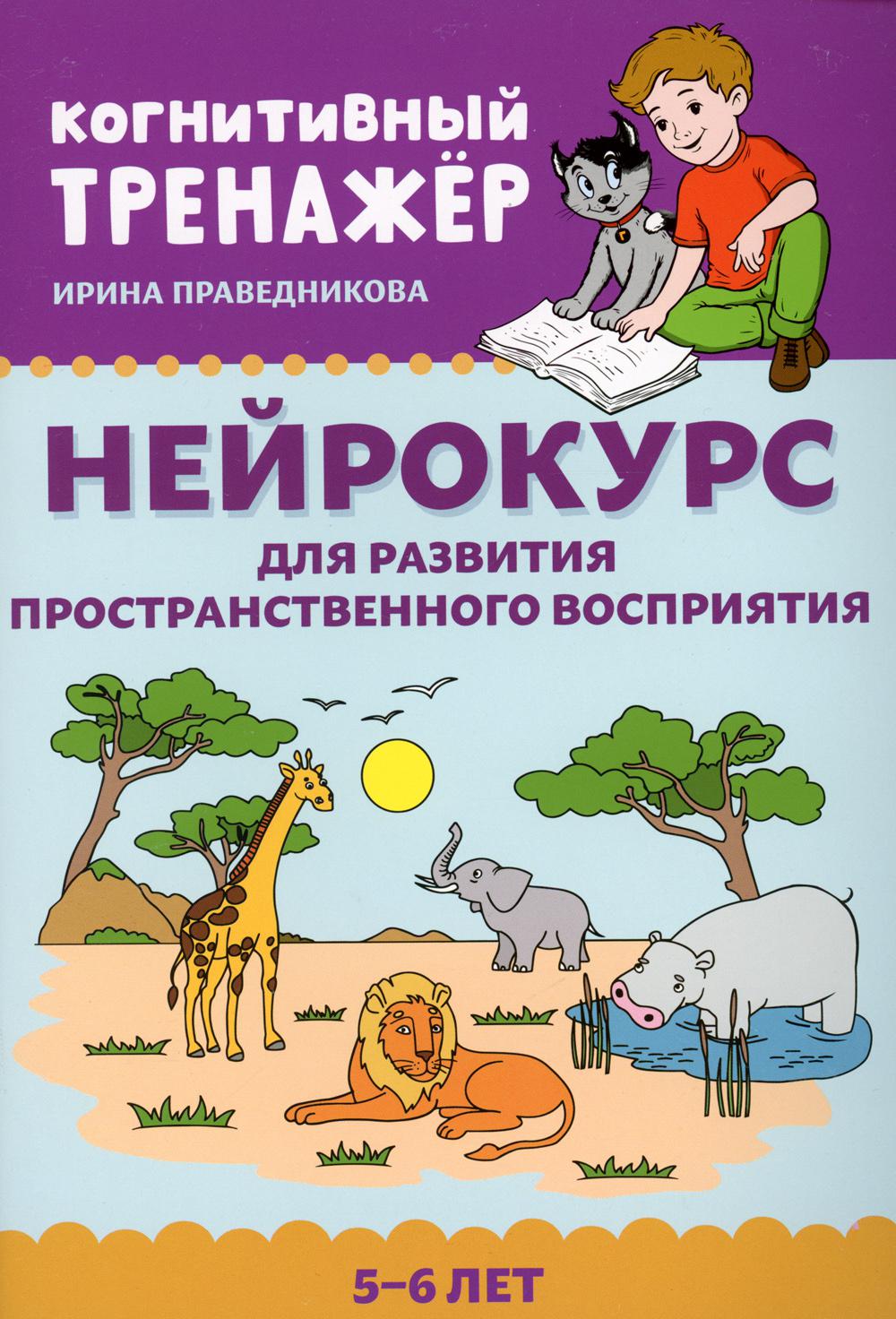 

Нейрокурс для развития пространственного восприятия