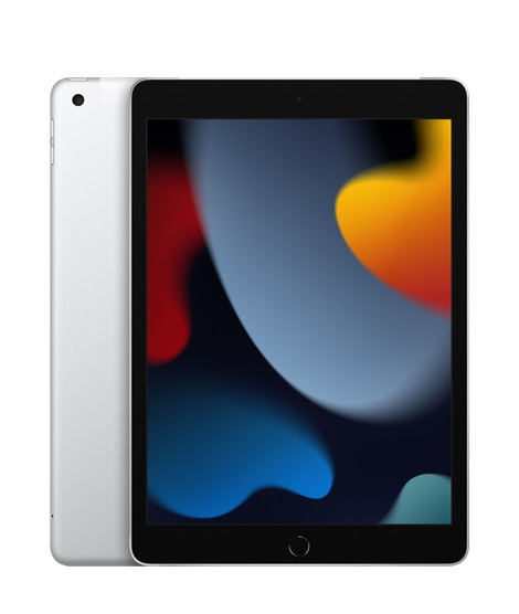 Планшет Apple 10.2" 2021г 8/256GB Wi-Fi серебристый iPad 2021