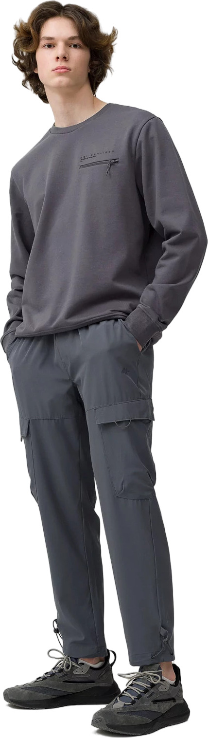 Брюки мужские TROUSERS CAS M136 4F серые M