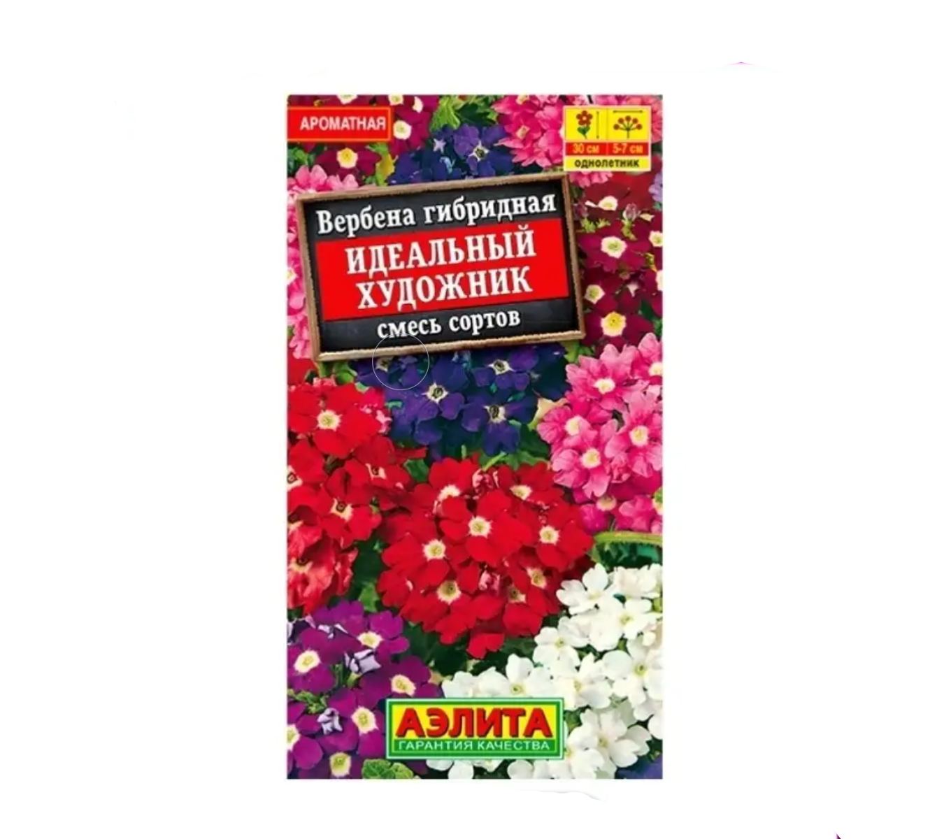 

Вербена Вербена Идеальный художник, смесь сортов (Аэлита)