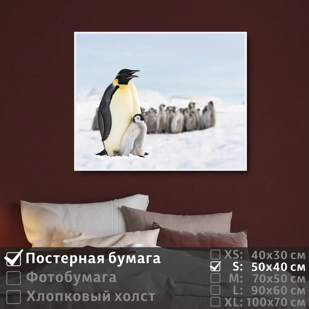 

Постер на стену ПолиЦентр Про семью пингвинов 50х40 см, ПроСемьюПингвинов