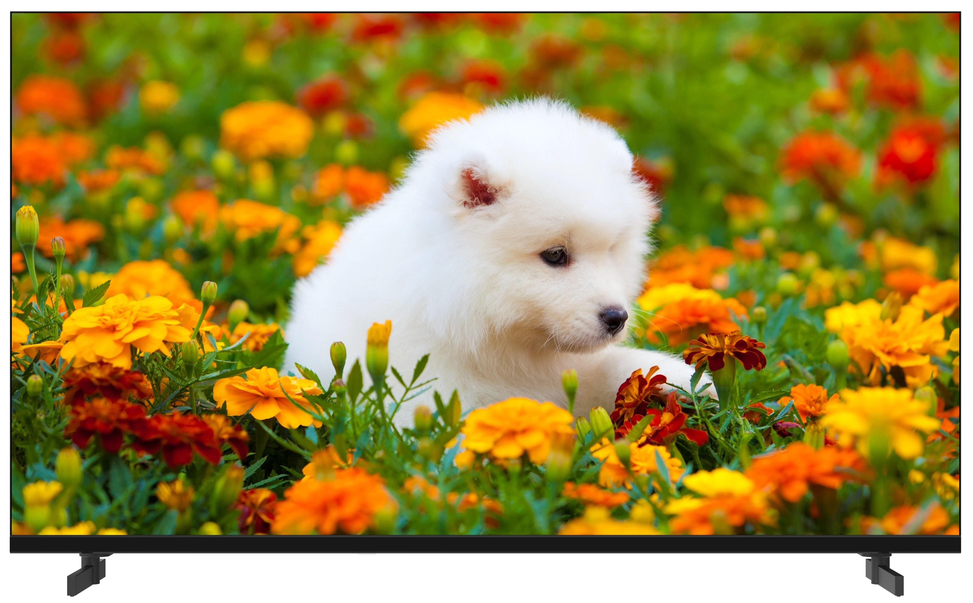 

Телевизор Aceline 40FEN2, 40"(102 см), FHD, Черный, 40FEN2