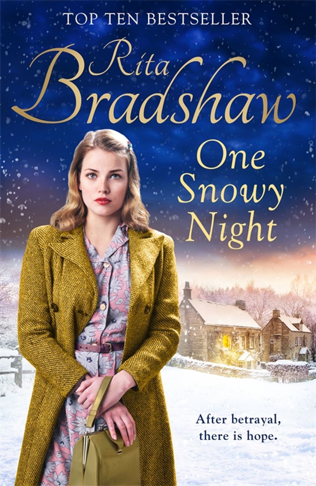 

One Snowy Night