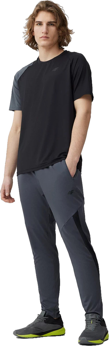 

Спортивные брюки мужские TROUSERS FNK M294 4F серые S, Серый, TROUSERS FNK M294