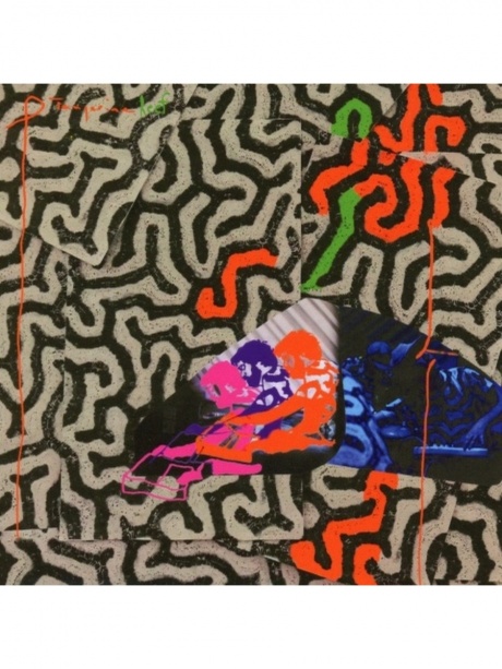 

ANIMAL COLLECTIVE - Tangerine Reef