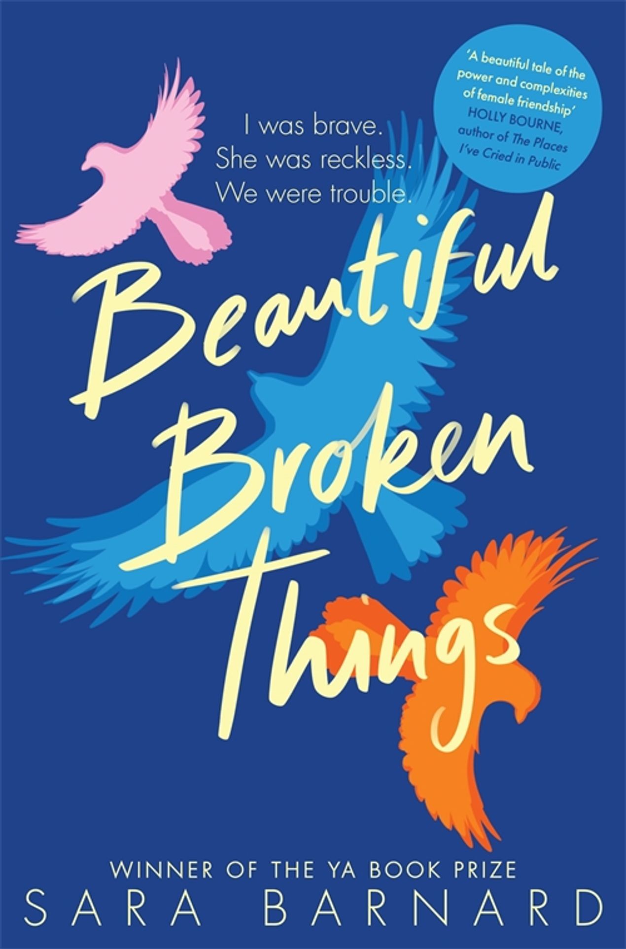 

Beautiful Broken Things