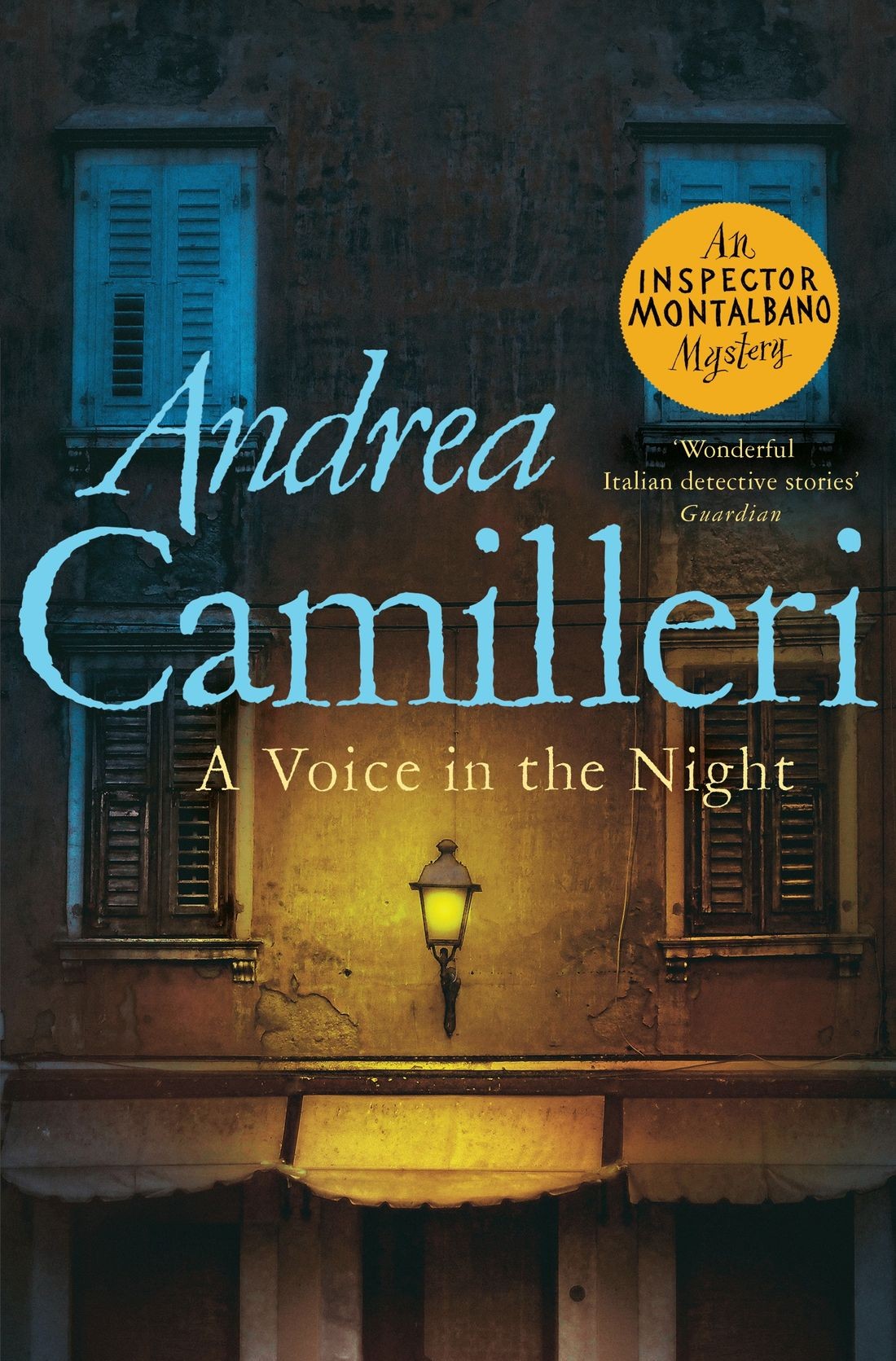 

A Voice in the Night