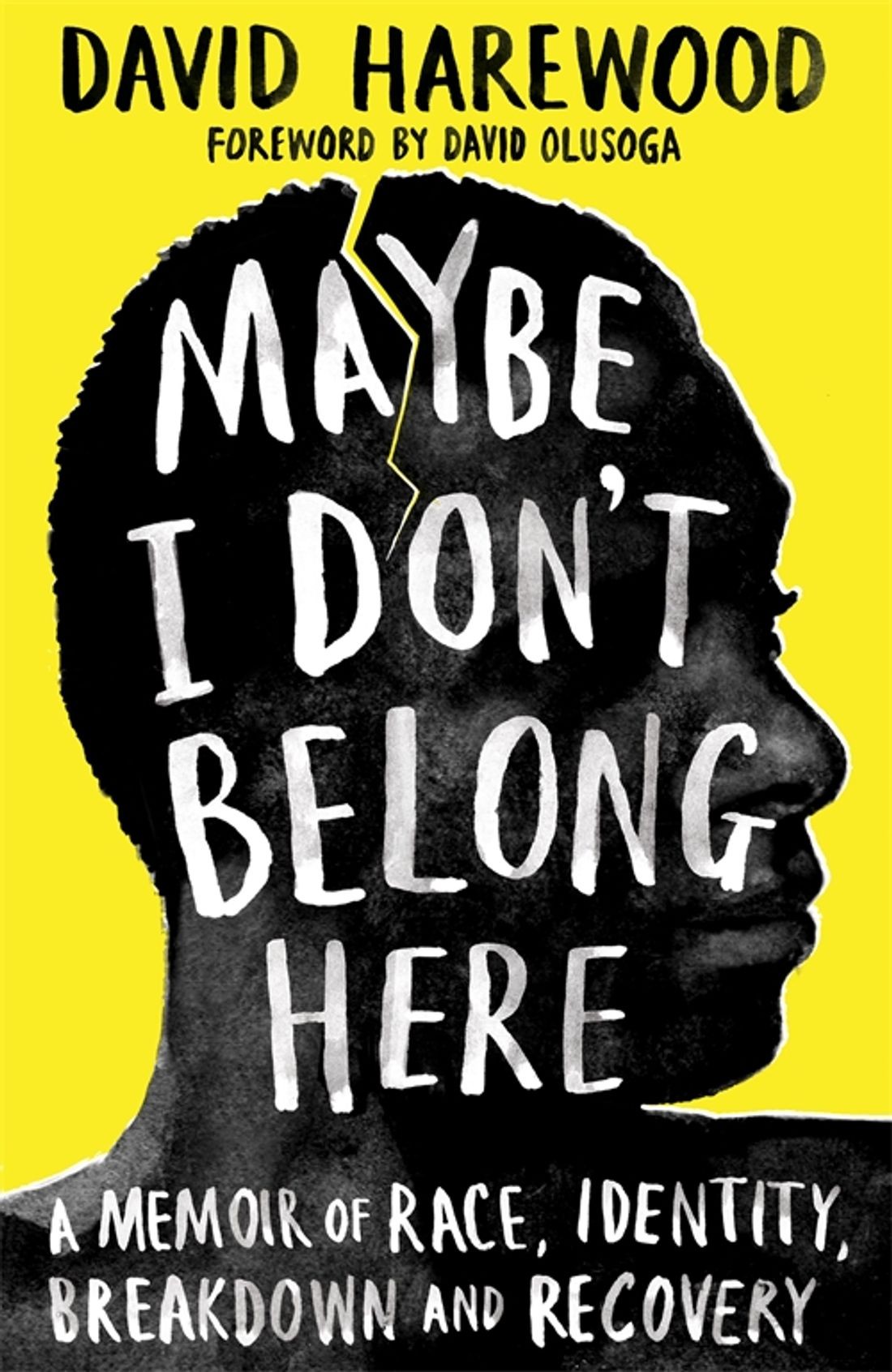 

Maybe I Don't Belong Here A Memoir of Race, Identity, Breakdown and Recovery